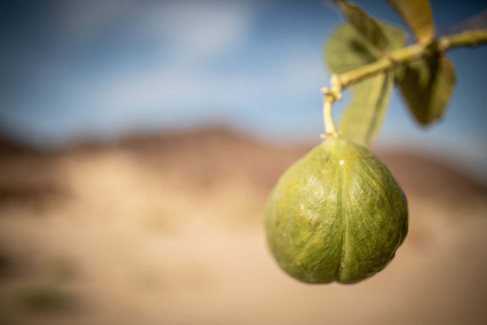 Human & Nature  outoftime 23